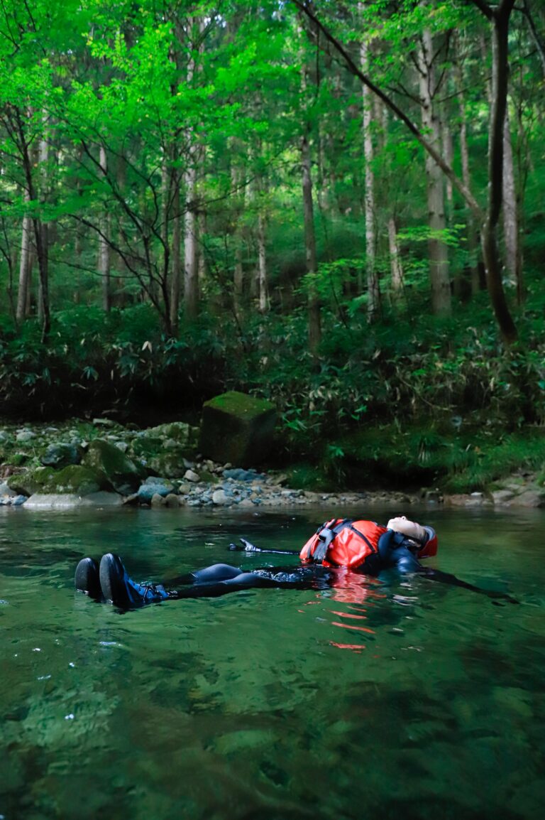 Forest Therapy in the Mountains of Hiroshima